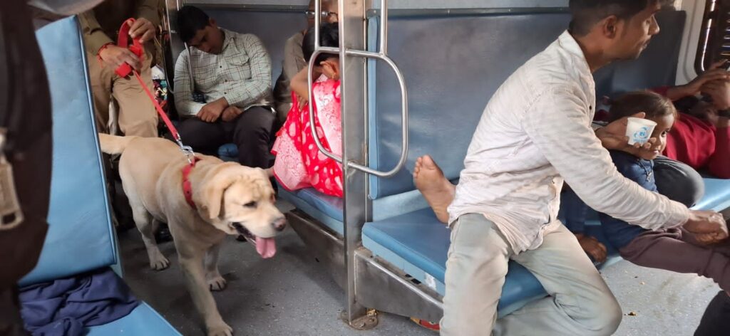 काशी एक्सप्रेस (15018) में बम मिलने के अफवाह से मची अफरा तफरी, औड़िहार में ढाई घंटे रोककर ट्रेन में की गई तलाशी 2 img 20250218 wa02082161961715850420331