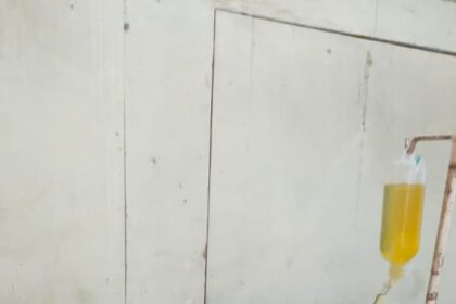 IMG 20250410 WA0290