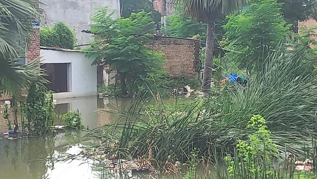गंगा नदी लगातार उफान पर, बाढ़ का बढ़ा खतरा 12 img 20250805 wa02285214673332089563510
