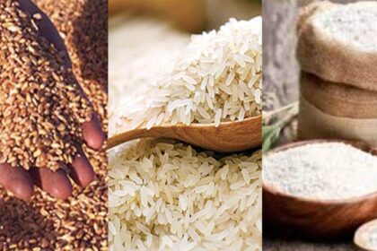 09 08 2023 wheat 23496513 1