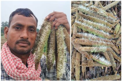 IMG 20251101 WA0277 1