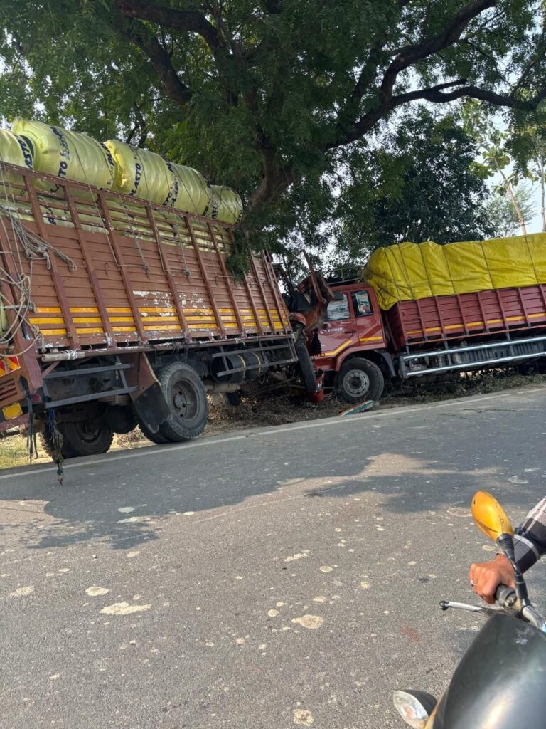 img 20251120 wa04205479445646447387187