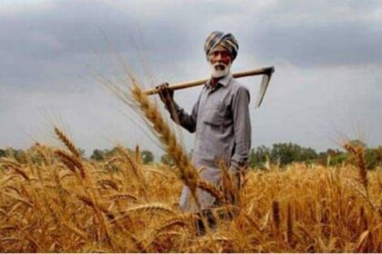 1kisan775 2 770x430 1