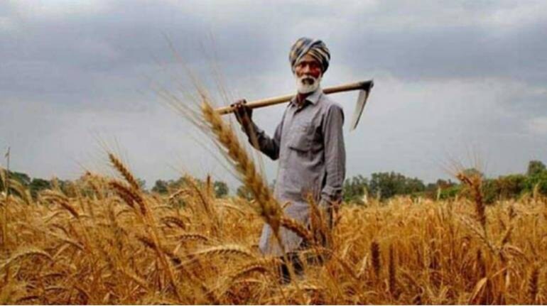 1kisan775 2 770x430 1