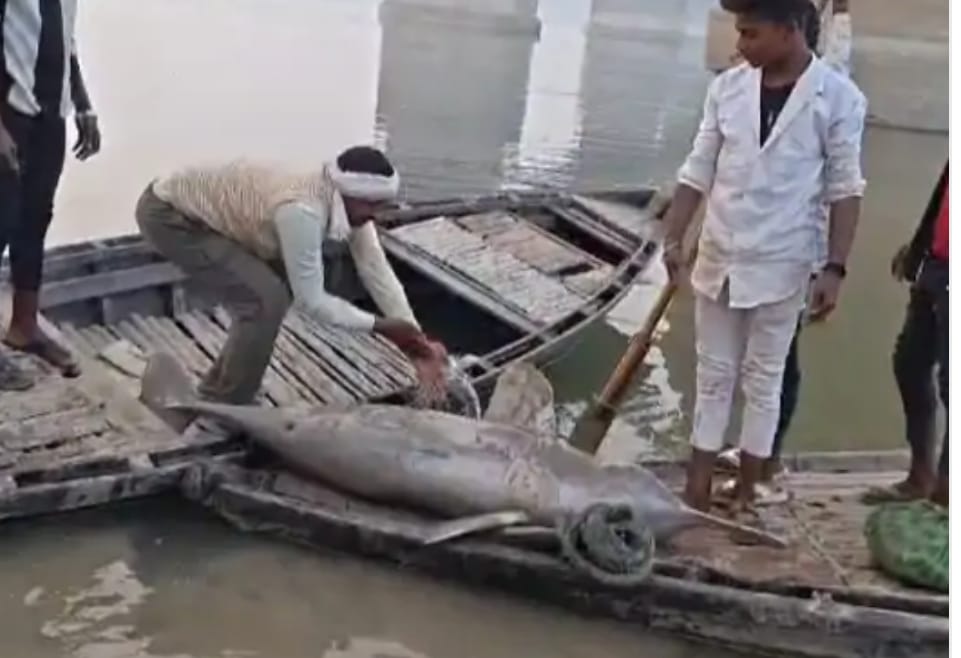 WhatsApp Image 2025 12 23 at 9.15.58 PM