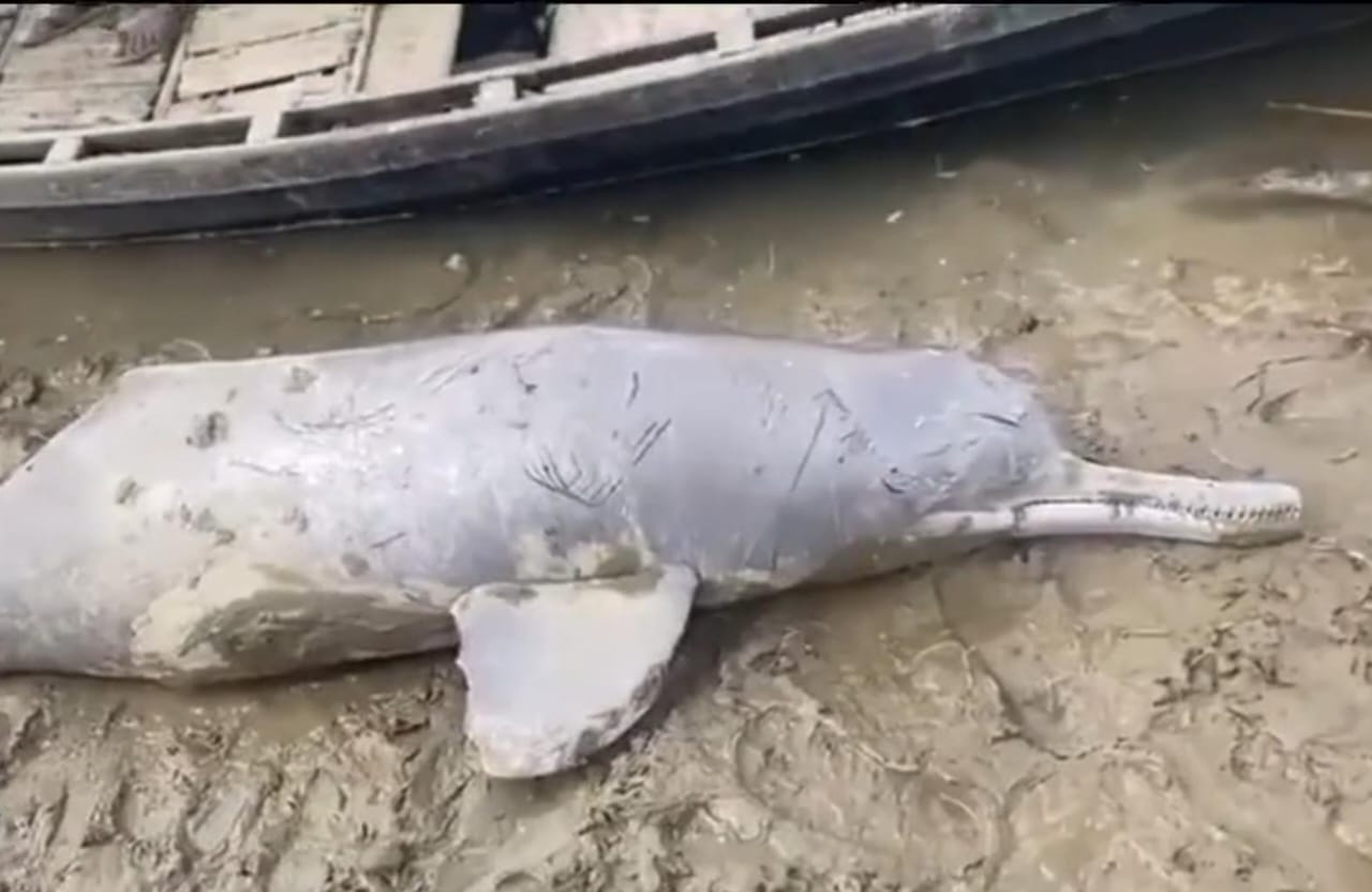 WhatsApp Image 2025 12 23 at 9.15.59 PM 1