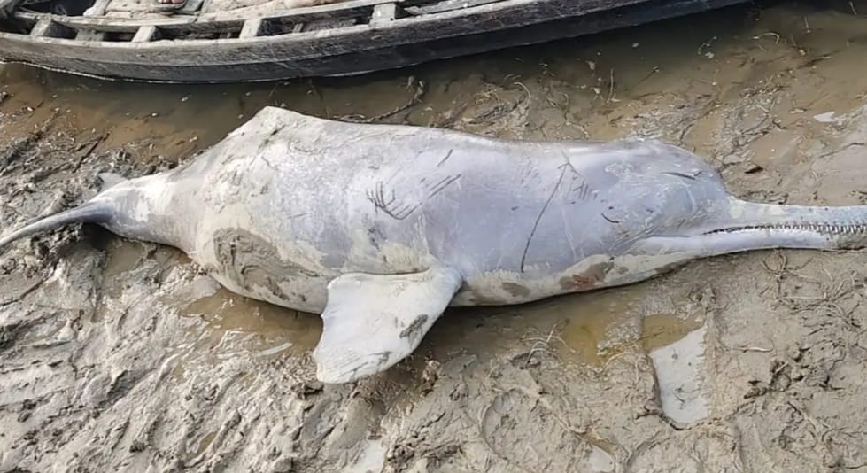 WhatsApp Image 2025 12 23 at 9.15.59 PM