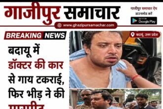 गाय से टकराने के बाद डॉक्टर की कार पर हमला