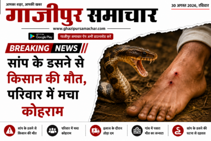 हरिवल्लमपुर गांव सर्पदंश घटना